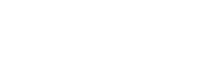 fiat logo